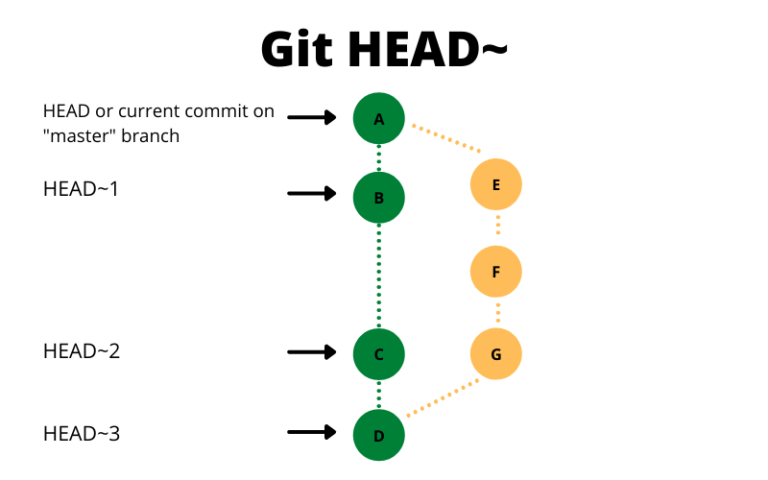 git-head-vs-git-head-vs-git-head-delft-stack